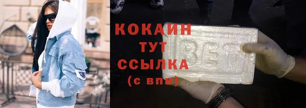 трава Новозыбков
