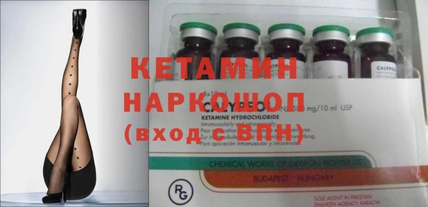 трава Новозыбков