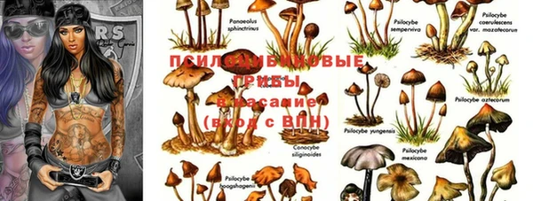 марки nbome Новодвинск