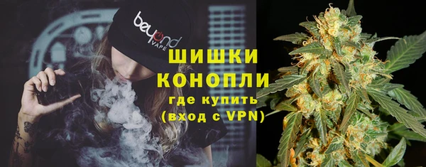 трава Новозыбков
