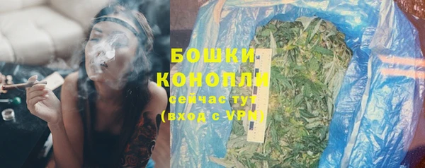 трава Новозыбков
