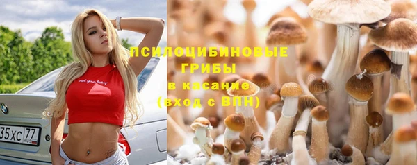 марки nbome Новодвинск