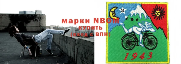 трава Новозыбков