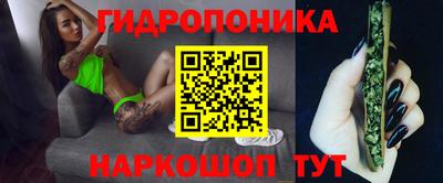 индика Абакан