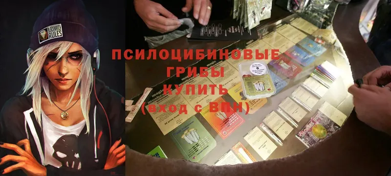 Псилоцибиновые грибы ЛСД  blacksprut сайт  Александров 