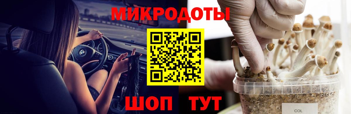Псилоцибиновые грибы Psilocybine cubensis  Галлюциногенные грибы ЛСД  Вход с VPN  Александров 